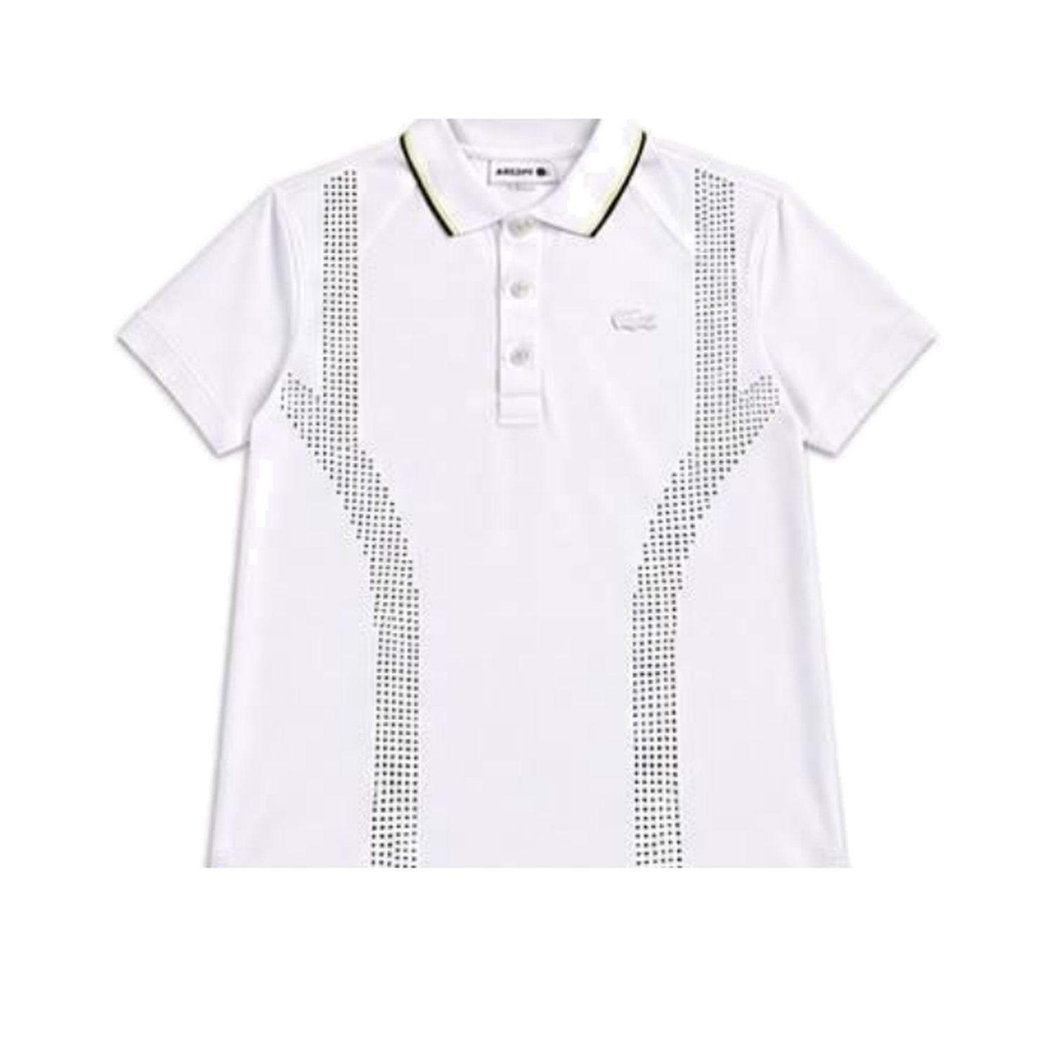 Polo Lacoste LC 003